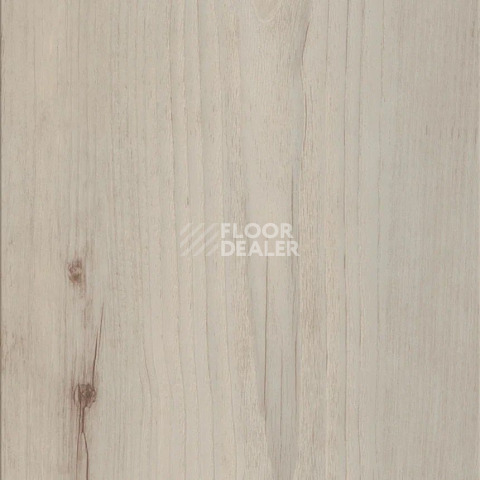 Кварцвиниловые полы AW Invictus Maximus Plank Norwegian Wood Arctic фото 1 | FLOORDEALER